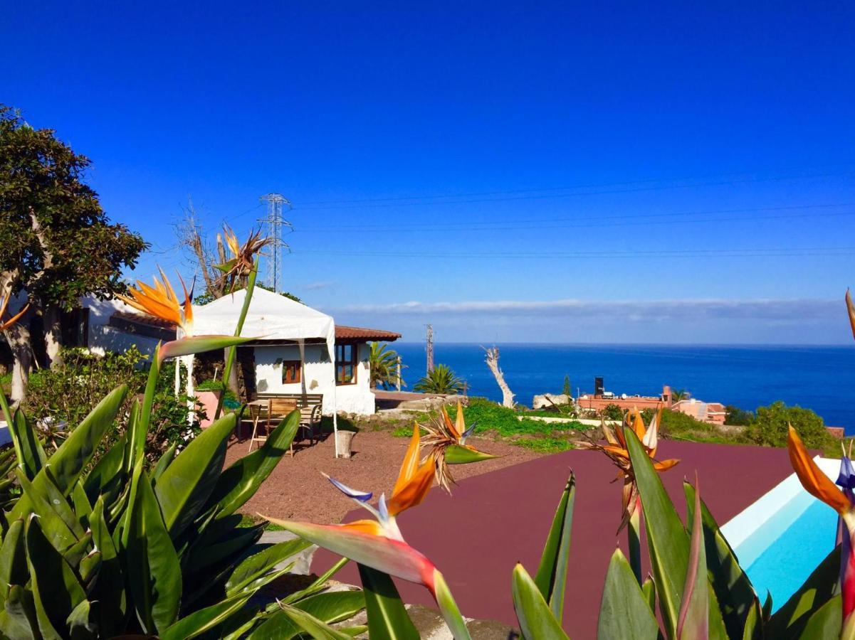 Dragos Del Mar , Espacio Natural La Orotava Exterior foto